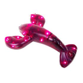 Kassen Klein GmbH - LRS Lobster Pager